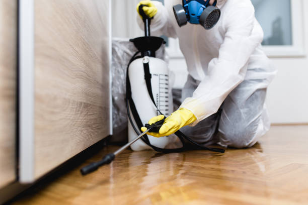 Best Best Pest Control Companies  in Mineral Springs, AR