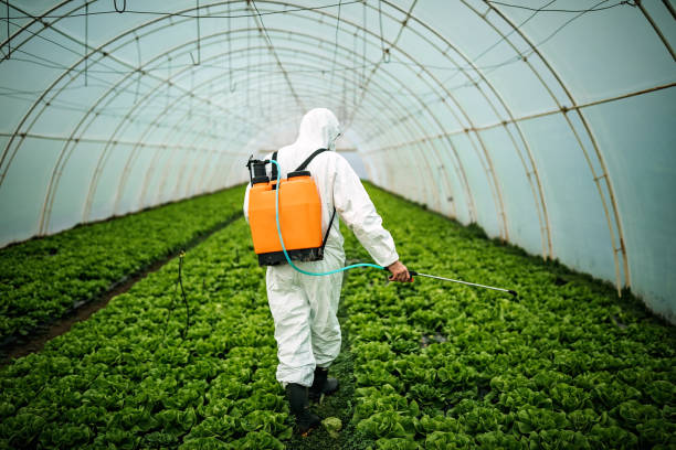 Best Affordable Pest Control Services  in Mineral Springs, AR