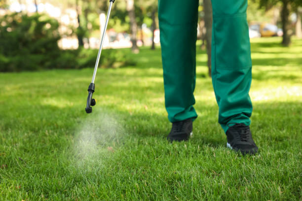Reliable Mineral Springs, AR Pest Control Solutions