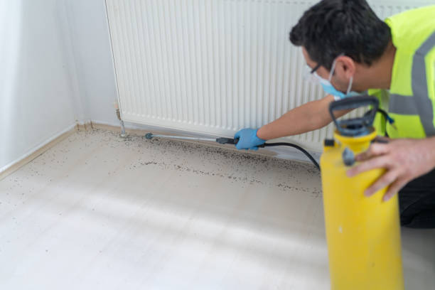 Best Pest Control Near Me in Mineral Springs, AR